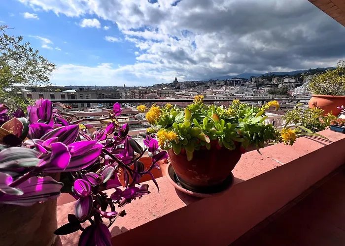 Terrazza Morgana Apartment *